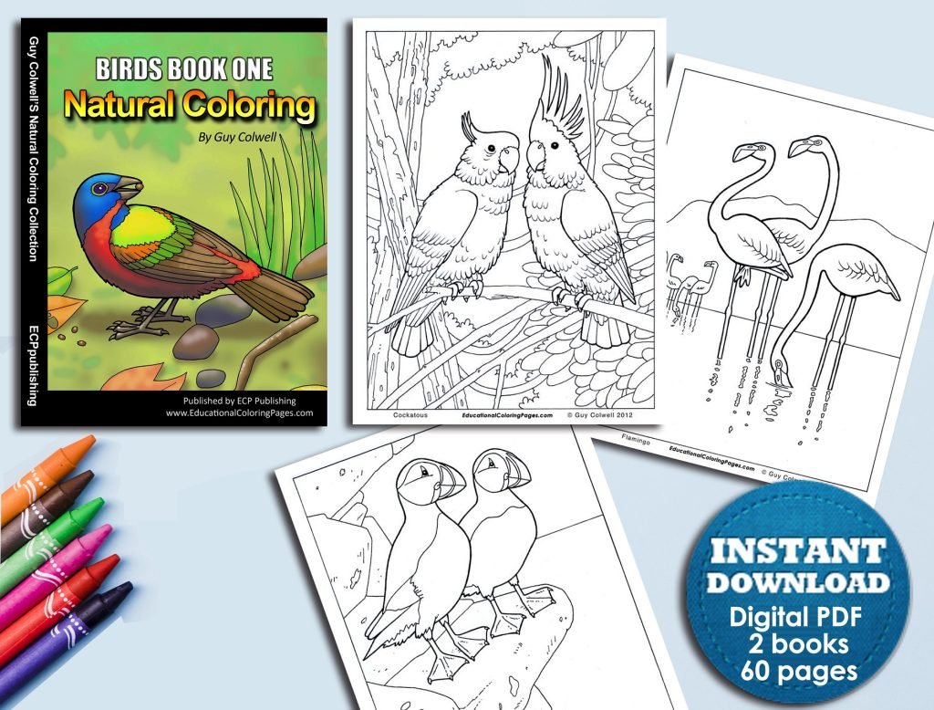birds coloring books